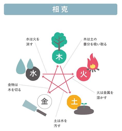 金剋木愛情|【金剋木愛情】姓名學洞悉他的愛情觀剋宮金剋木 